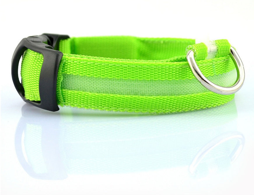 Collier LED pour chien
