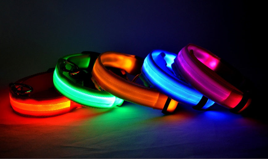 Collier LED pour chien